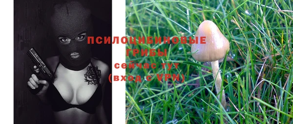 дживик Белокуриха