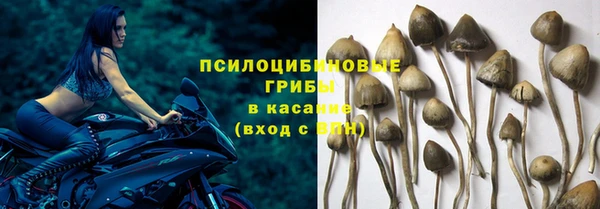 не бодяженный Балахна