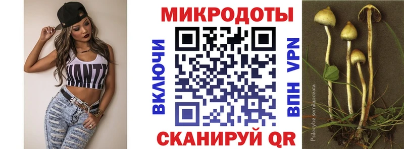 Псилоцибиновые грибы прущие грибы Белый